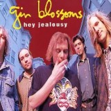 gin-blossoms