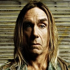 iggy-pop