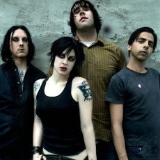 the-distillers