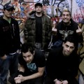 zebrahead